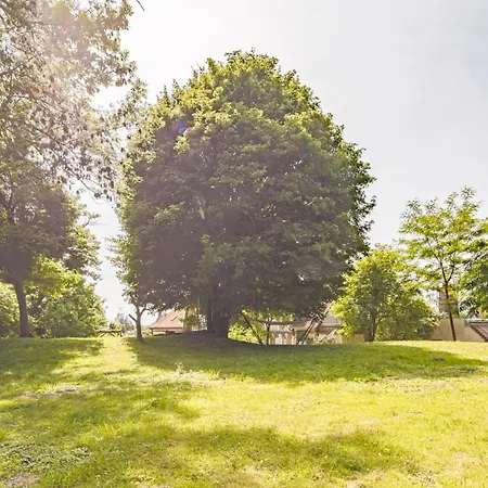 La Du Manoir - Champagne Et Serenite * Chappes (Aube)